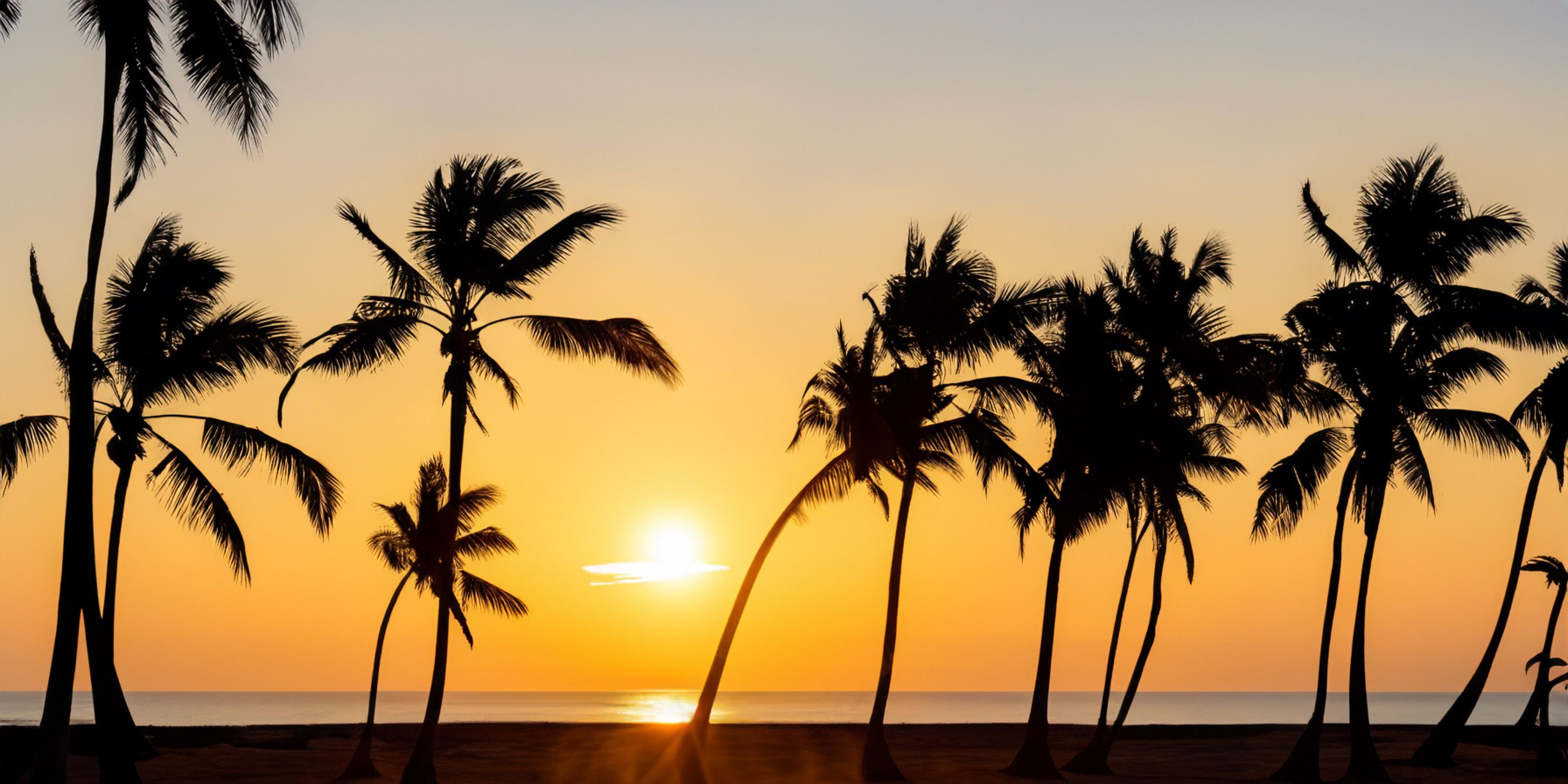 Beach Scene Features Captivating Silhouettes Of Palm Trees