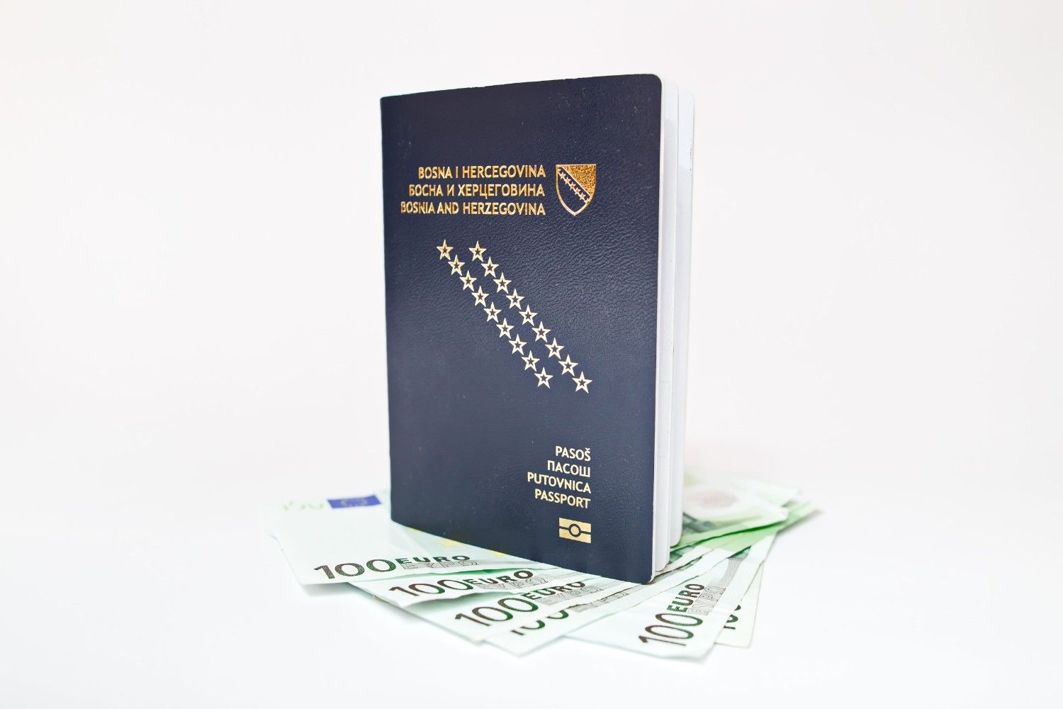 Bosnia and Herzegovina Passport