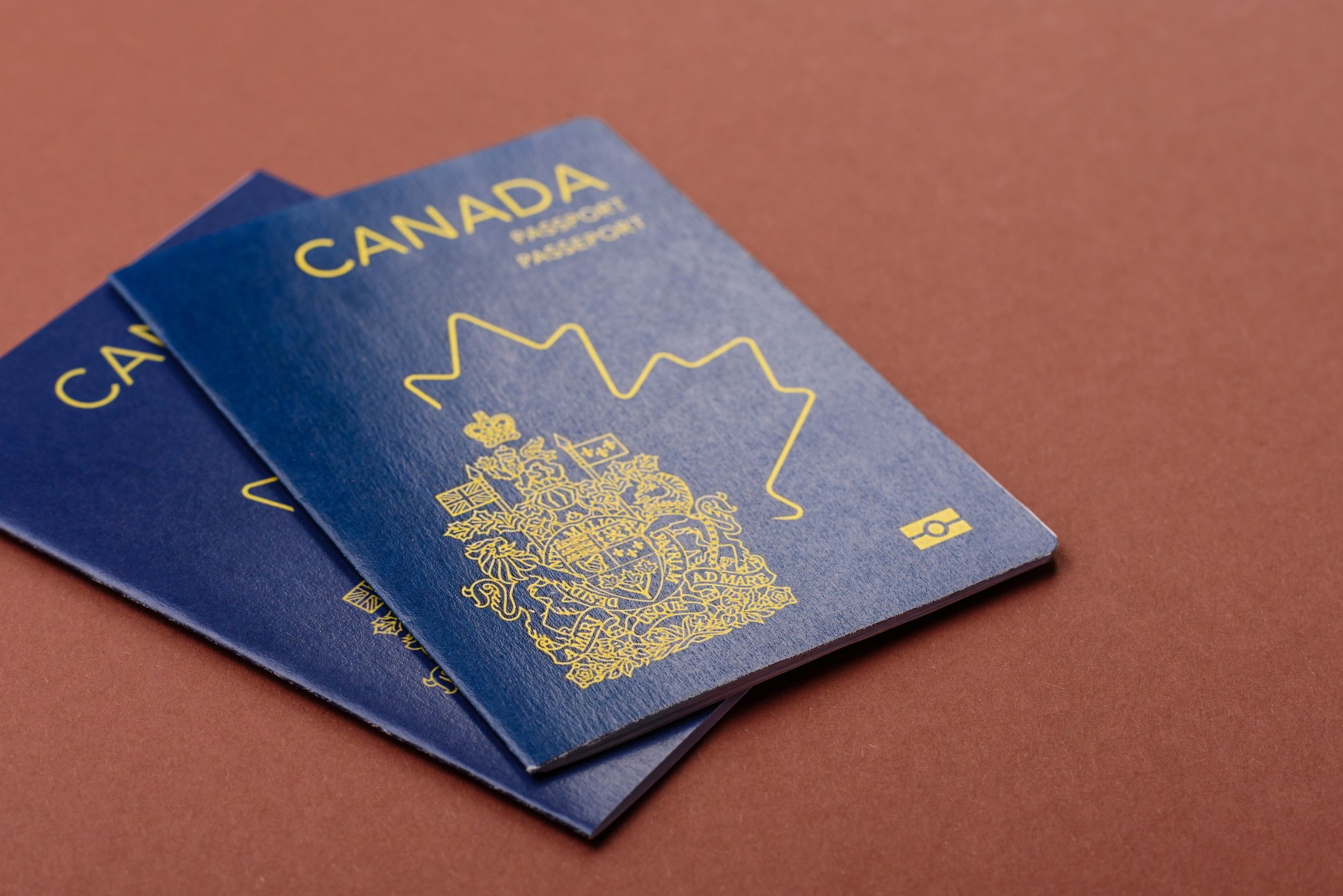 Canadian passports on a brown background