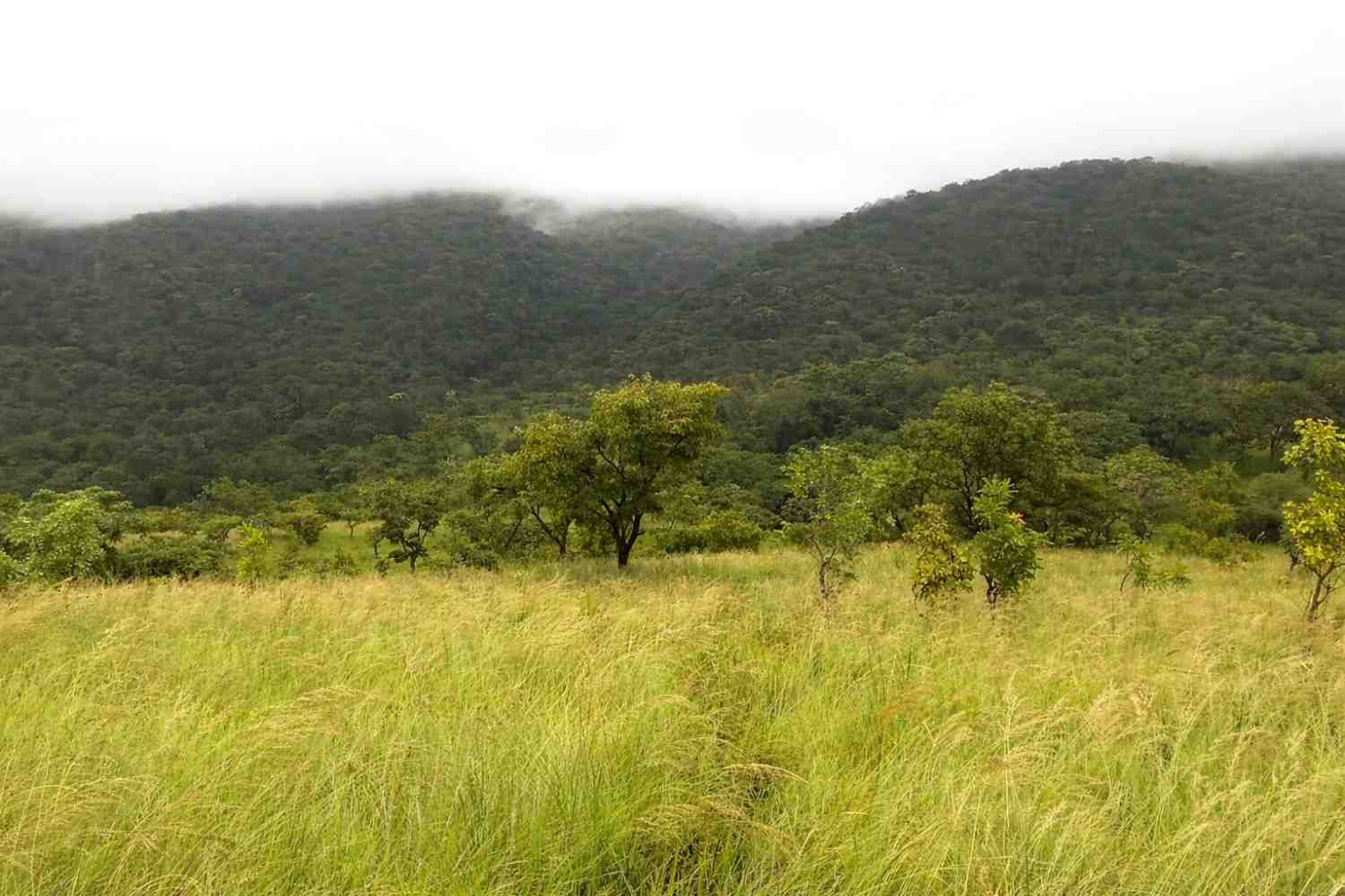 Fazao Malfakassa National Park
