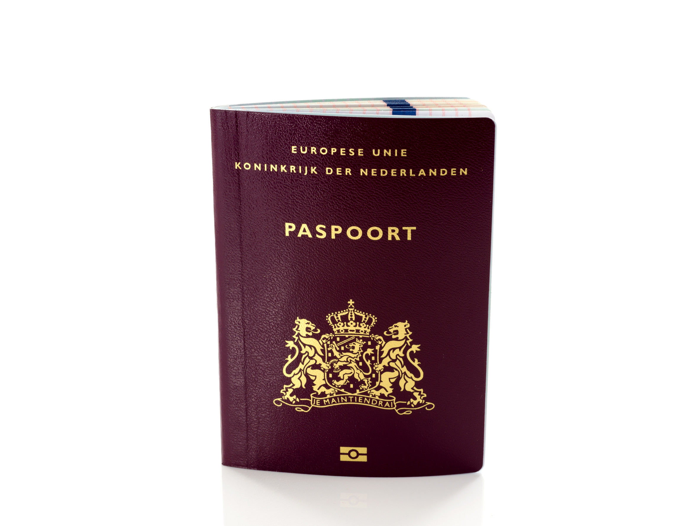 Netherlands Passport On White Background