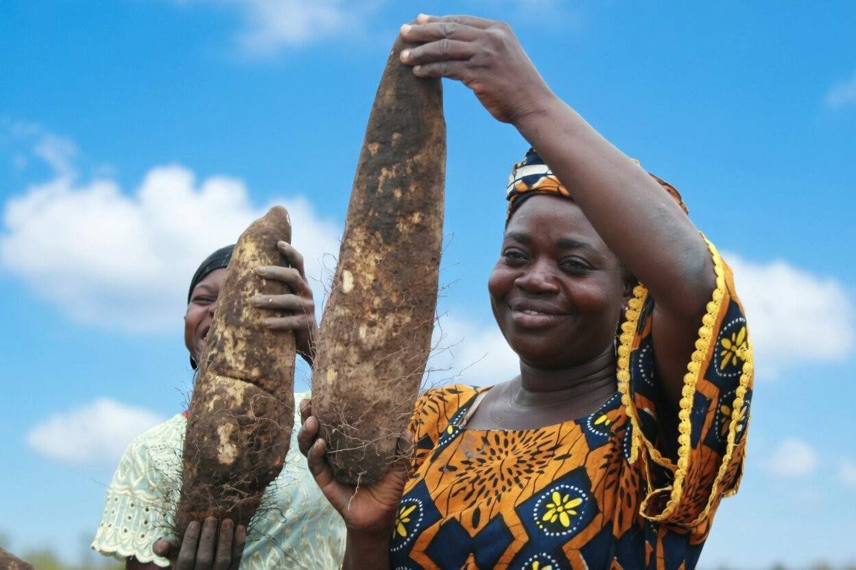 The Yam Festival Celebrates The Harvest