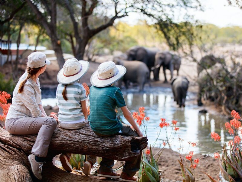 Togo Family Safari