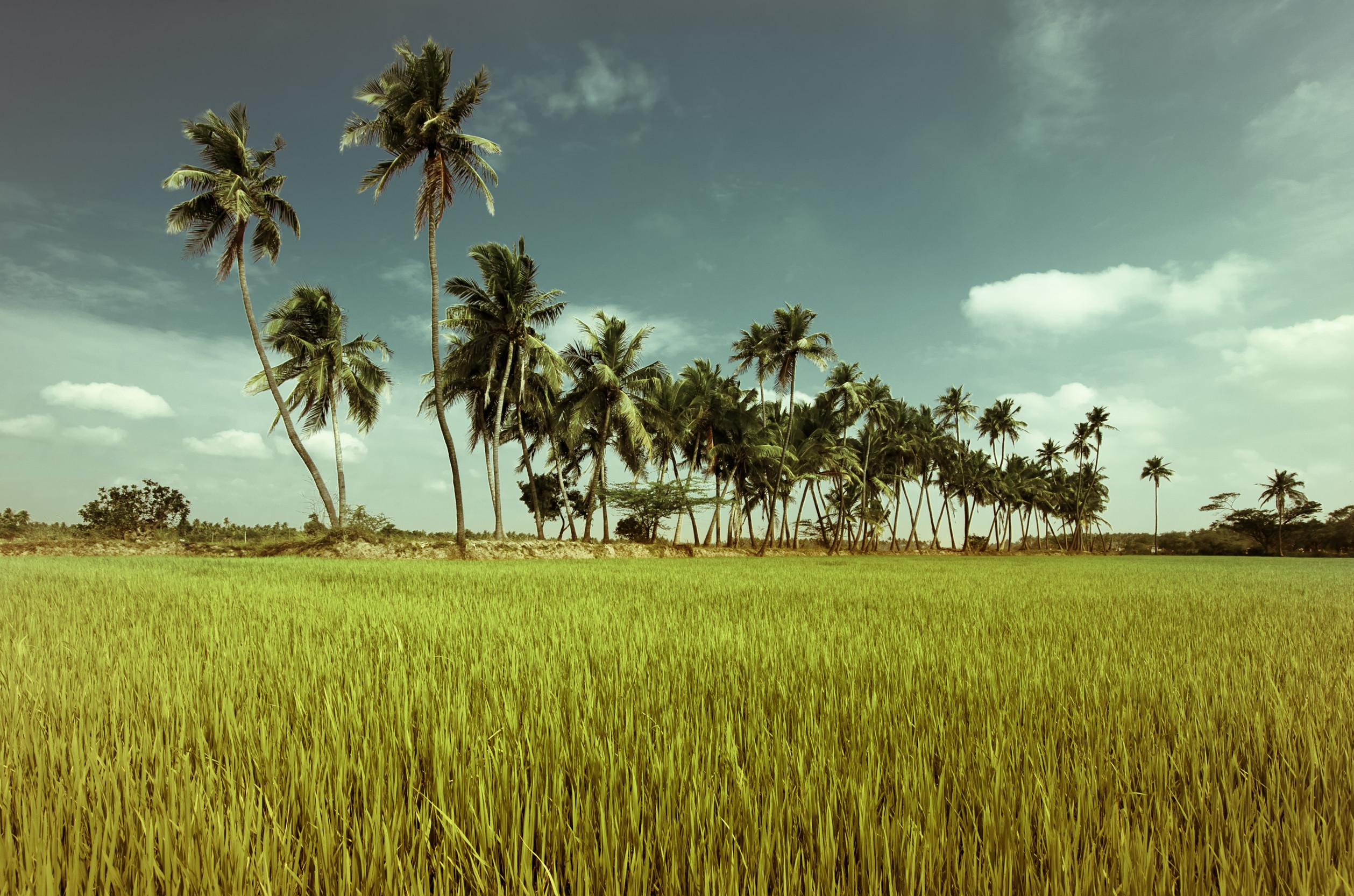 Togo Photography Landscape